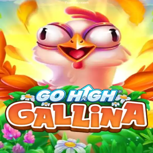 Discover the Exciting World of GoHighGallina